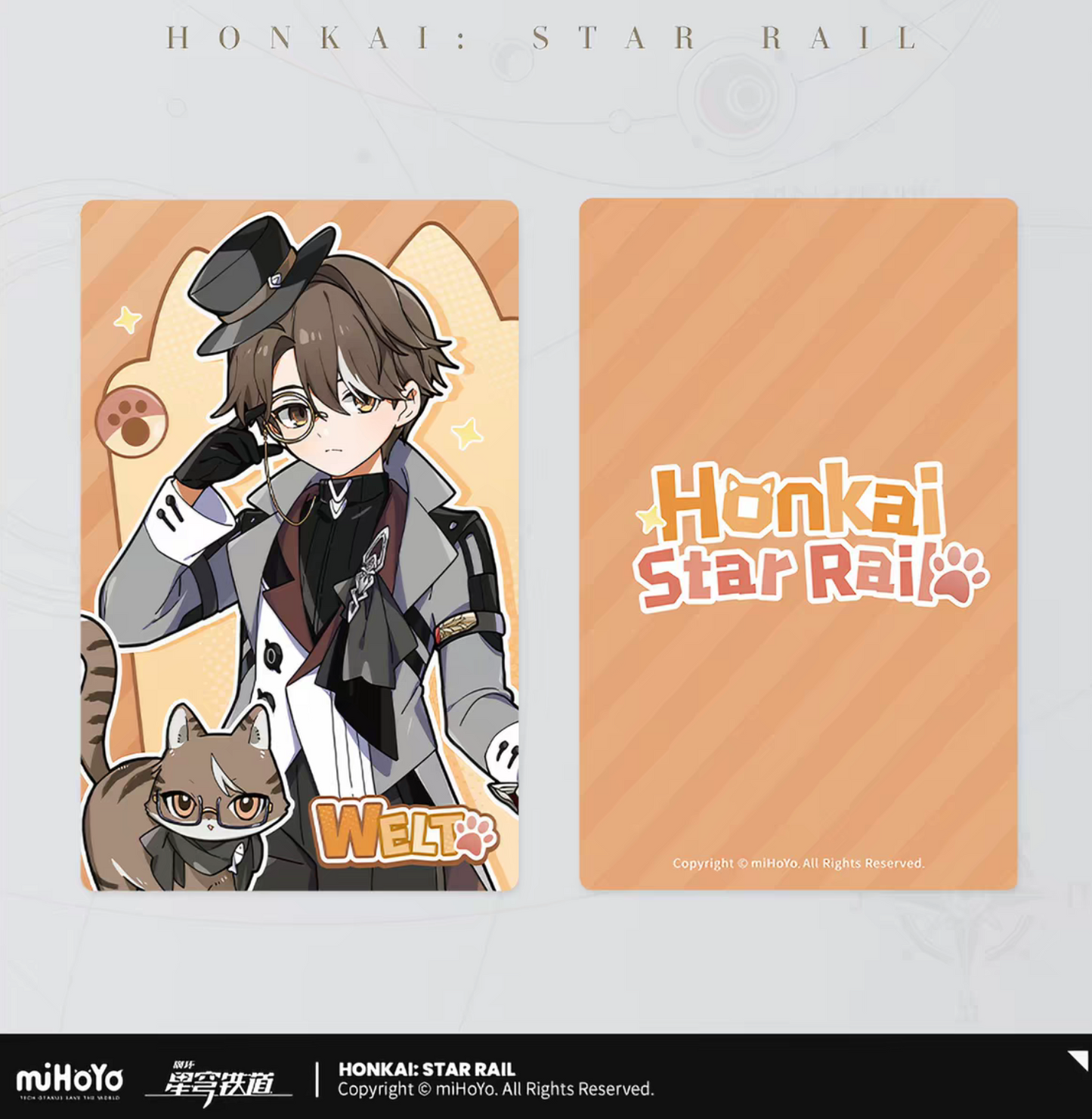 Honkai Star Rail Dan Heng Cat Laser Holographic Ticket miHoYo