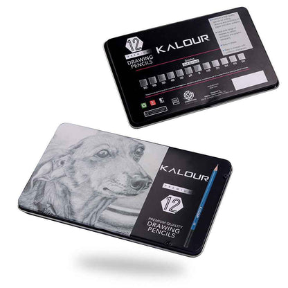 KALOUR 12 Pieces Professional Drawing Sketching Graphite Pencils Set - TTpen